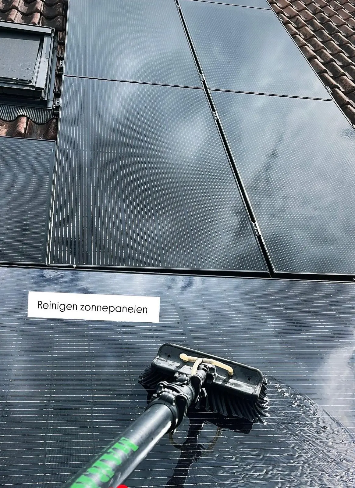 WhatsApp Image 2026 02 13 at 10.29.37 AM (1)